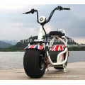 48v 800w electric motorcycle scooter with big wheels, electric fat bike motorzied snow scooter electric